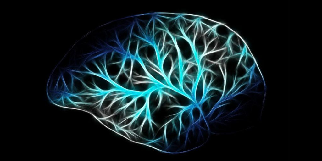 Neuroscienze e plusdotazione