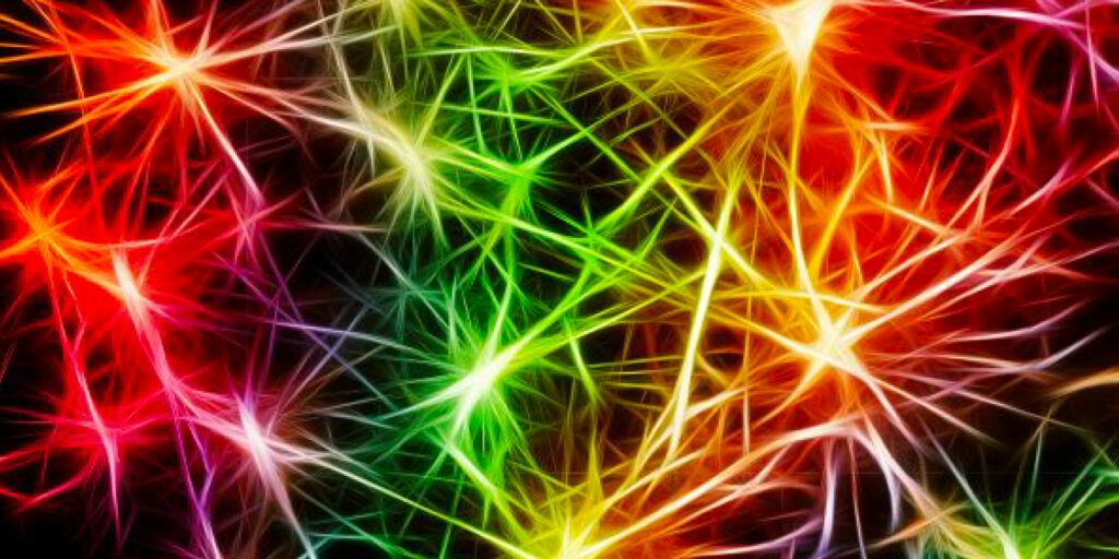 Neuroscienze e plusdotazione: visualizzazione dei collegamenti tra neuroni