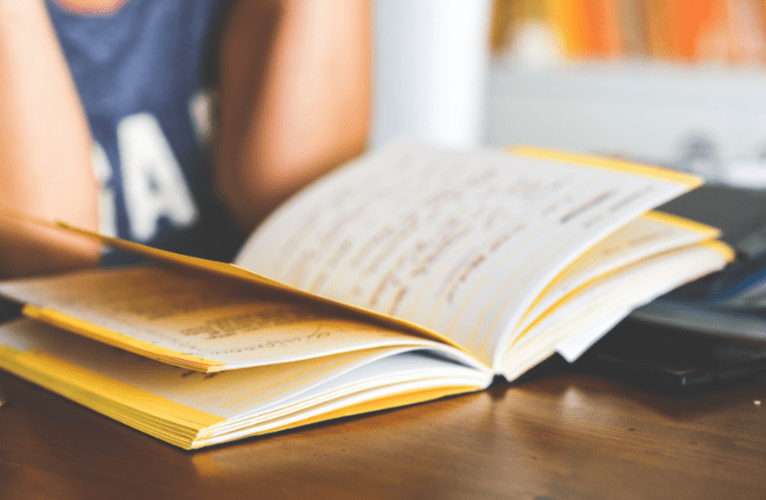 Un libro per utilizzare le strategie didattiche per la plusdotazione