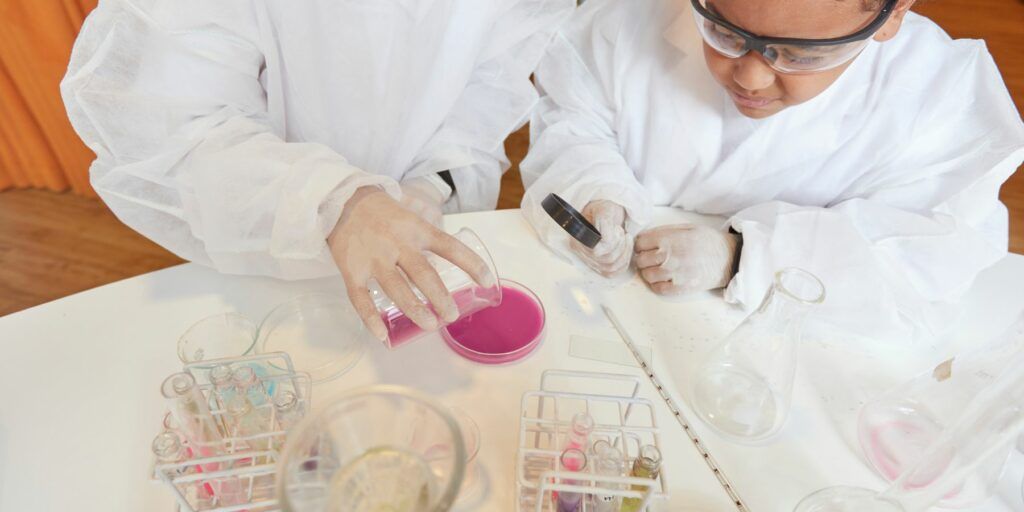 Strategie didattiche per la plusdotazione