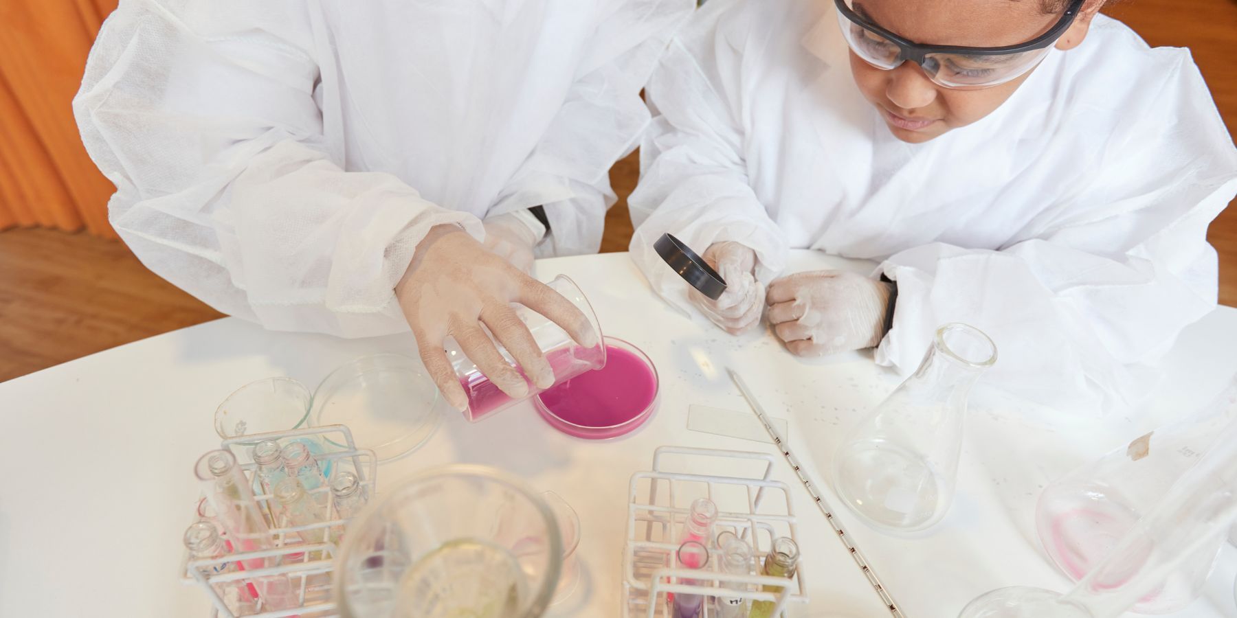 Strategie didattiche per la plusdotazione